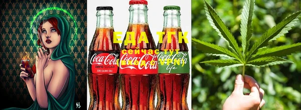 спайс Магас
